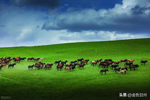张新元｜草原深处的秘境画卷