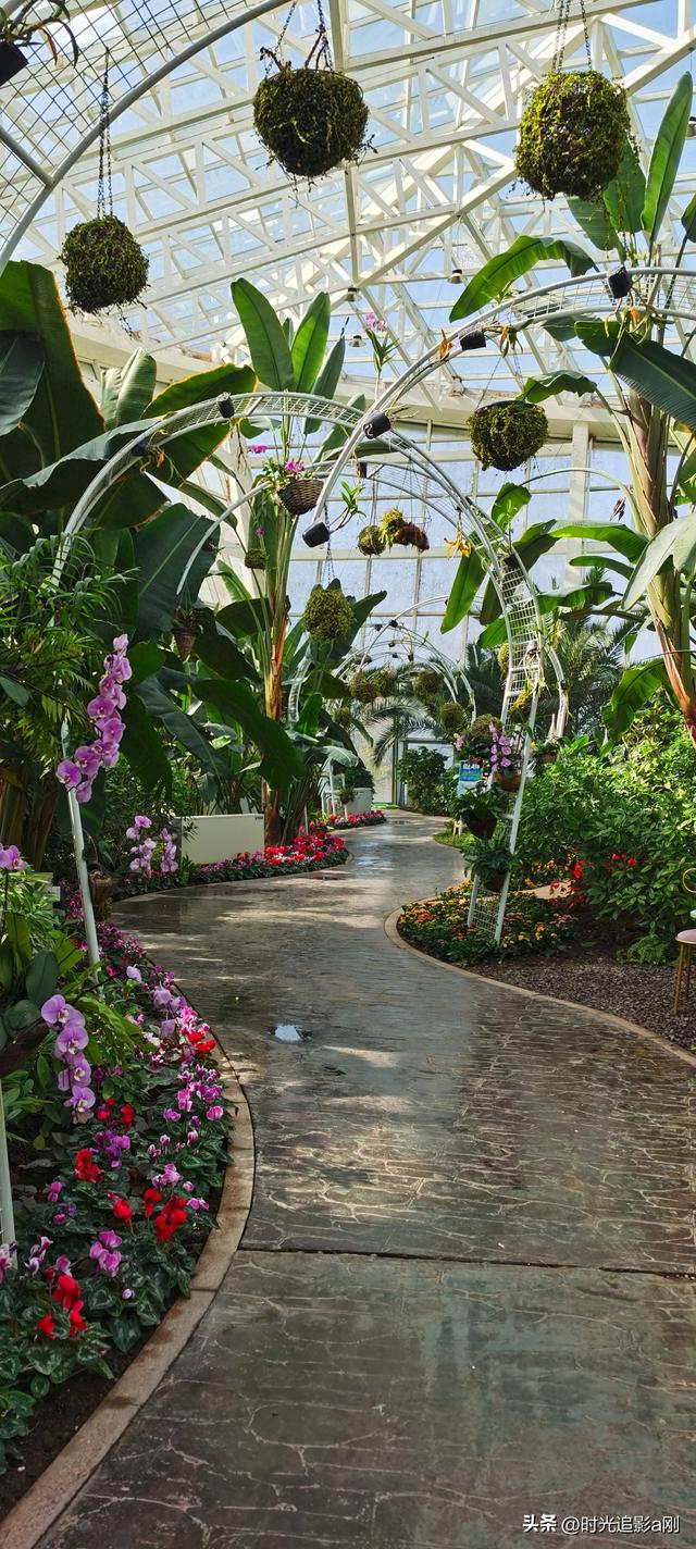 玻璃穹顶下的生活诗意！