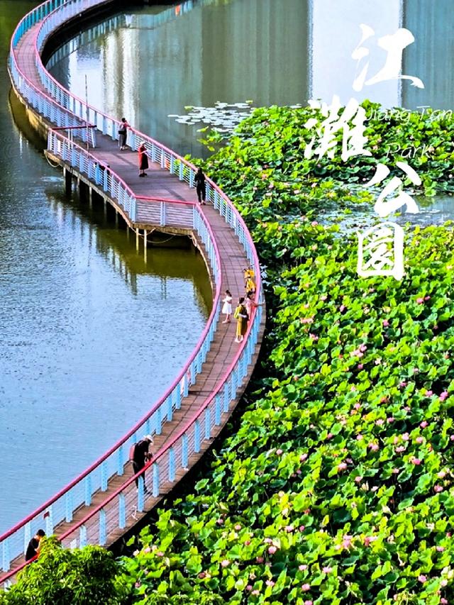 成都又一湿地公园走红！人少景美堪称 “台湾小垦丁”，门票全免费