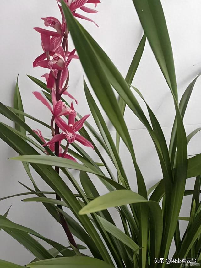 在贺州玉石林，我与我的“一线天”狭路相逢