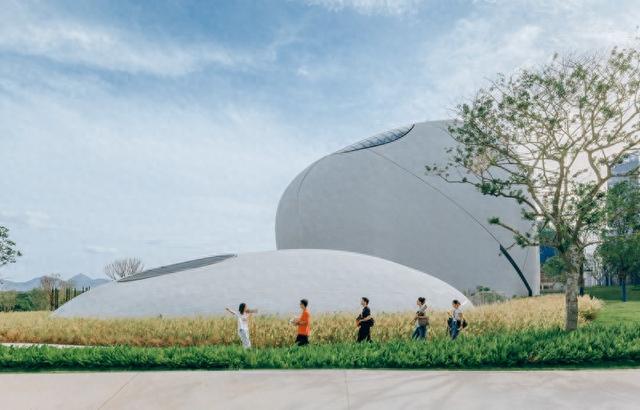 “阿姨扫天空”火爆全网！深圳湾文化广场成为市民“灵感发生地”