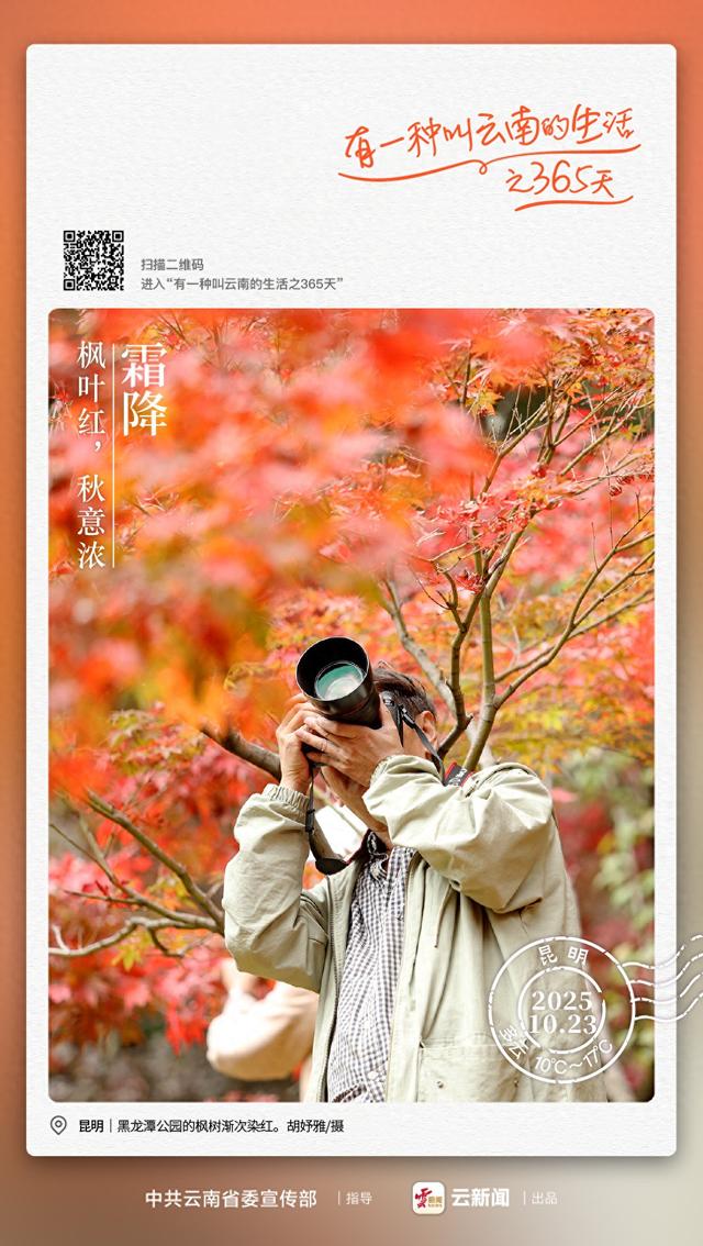 去有“枫”的地方——有一种叫云南的生活之365天