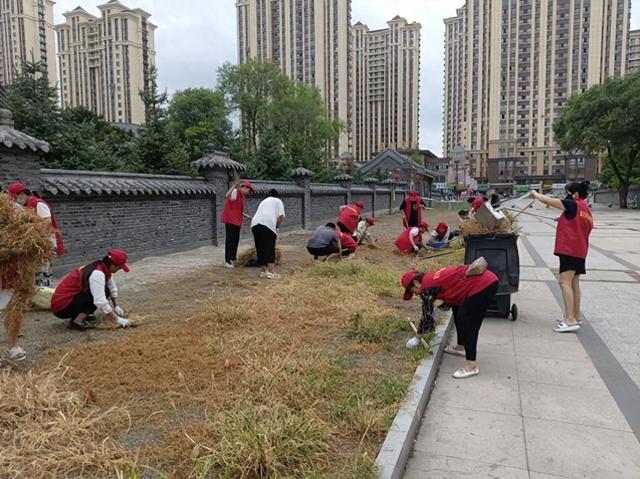 一抹志愿红 扮靓文庙景：哈尔滨阿城学雷锋服务队守护传统文化阵地