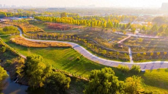 为什么要住在沣西 | 从晨光到星火