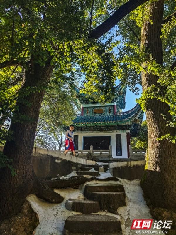 邂逅益阳古十景｜走进“裴亭云树”的诗意时光