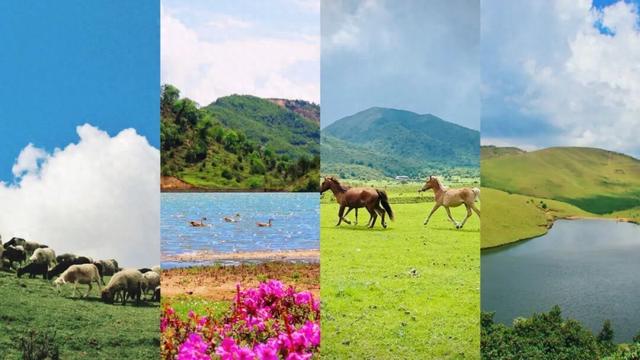 大理鸟吊山保护区能徒步吗？洱源县：出于生态保护和安全考虑，禁止游客进入