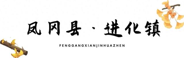 乡游黔中 · 凤冈县 进化镇丨银杏鎏金映古寨，高腔茶灯醉秋韵