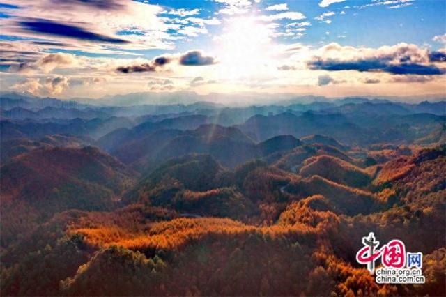 秋风染层林 曾家山开启秋日限定色彩盛宴(图)