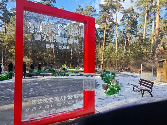 “吉林冰雪焕新季”主题采访行丨长白山美人松爱情森林等你浪漫打卡