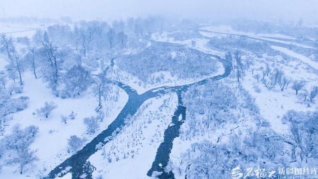 那拉提：雪花轻舞绘就清雅丹青