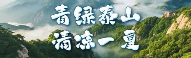 青绿泰山 清凉一夏丨来泰山东御道，闯入绿野仙踪，把童话里的清凉揣进夏天