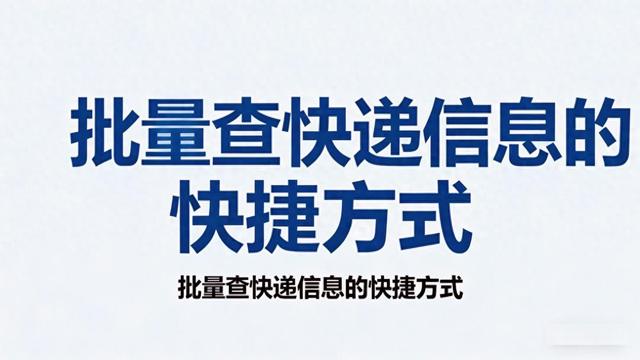 批量查网站标题的常见场景有哪些（快递批量查询哪家更值得从速度精准度与功能全面性来对比分析）