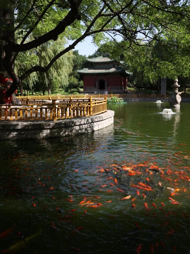 跻身全球50！石家庄上榜