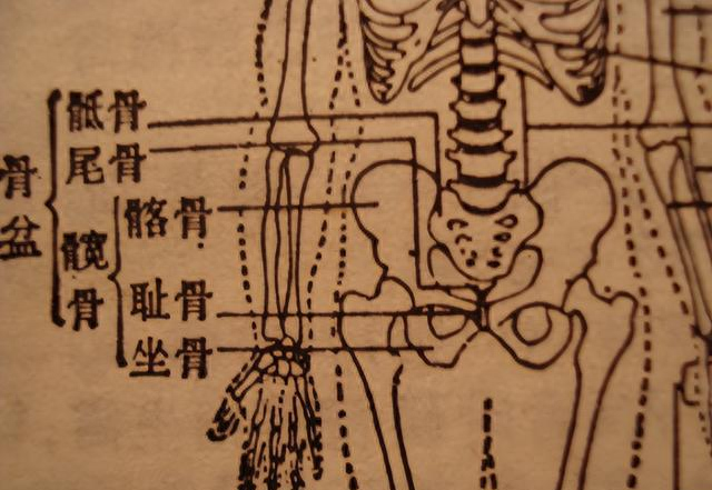 终于把武术“开胯”和“拉韧带”区别开了，原来两者不一样