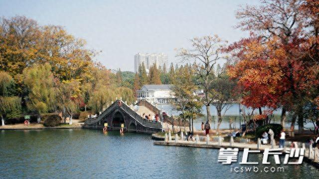 最后两天！23℃秋日限定晴好，下周最高气温降至个位数