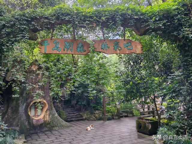 李寿谦原创丨千岛湖四日游