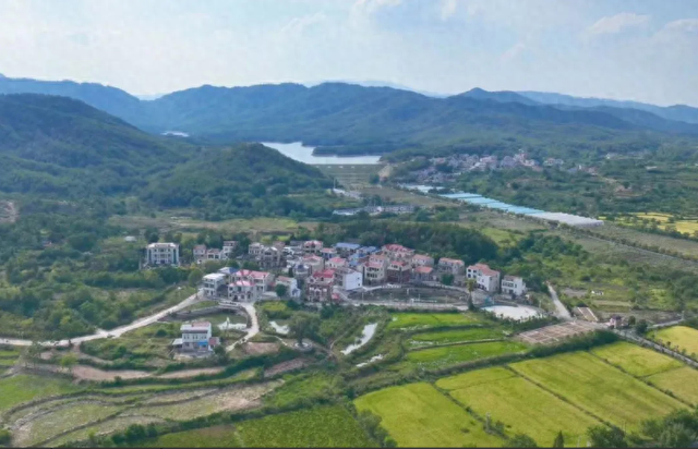 大悟：从“芷兰花开”到“村田水墨”，领略文旅新名片