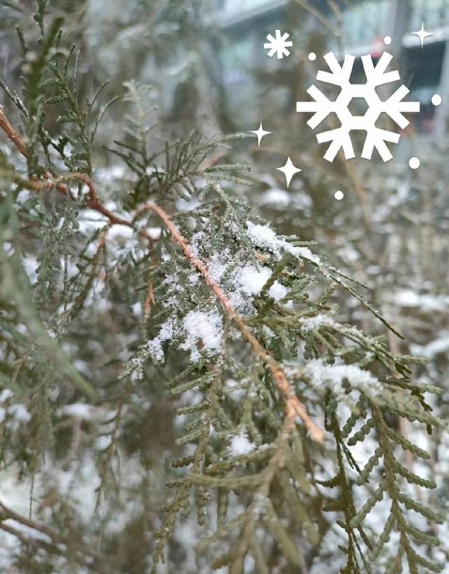 北京初雪	，紫禁城美到词穷！每一帧都是千年故事感