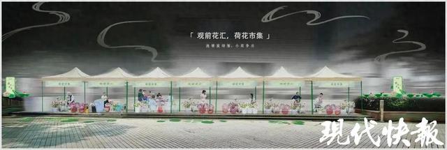 苏州观前荷花市集开市啦