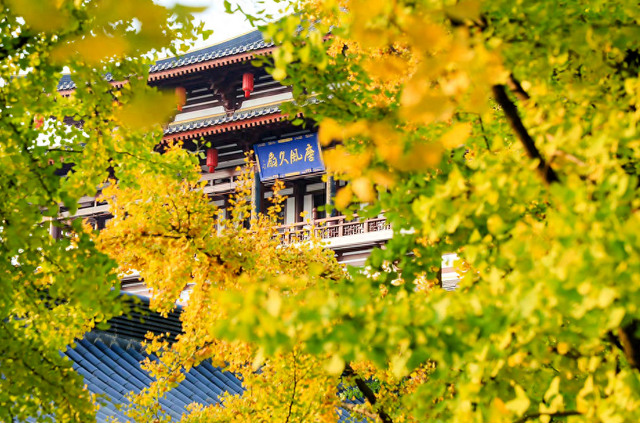 秋风引路入曲江，芙蓉金叶映红墙