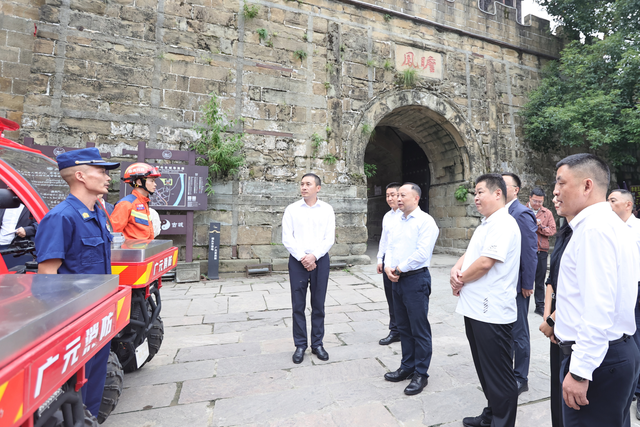 何树平督导检查安全生产和文旅市场工作