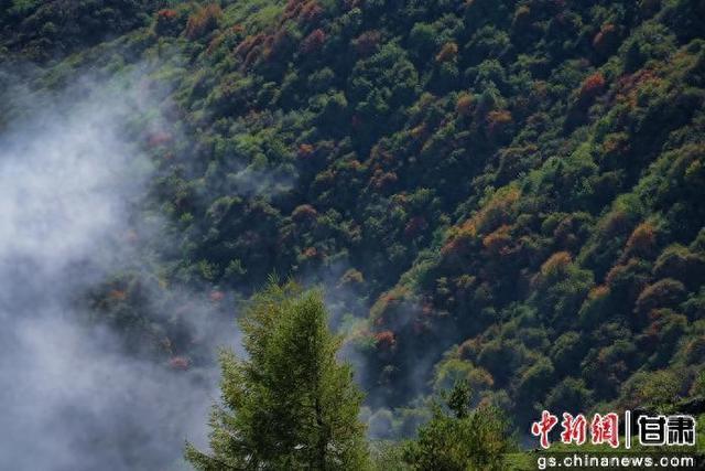武都千坝草原秋景如画 美不胜收