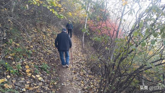80多岁的老人爱上户外徒步