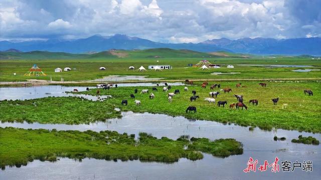 风吹马鬃动，这是高原最美的风景