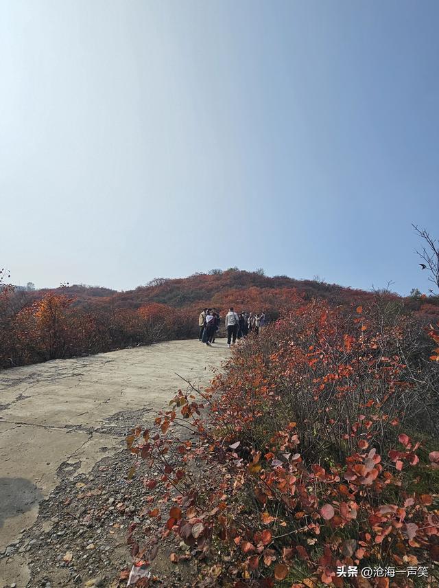 看万山红遍，层林尽染，只是孤影只单，一起相约打卡如何？