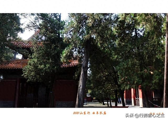 山东行游影记（214）—曲阜孔庙（九）