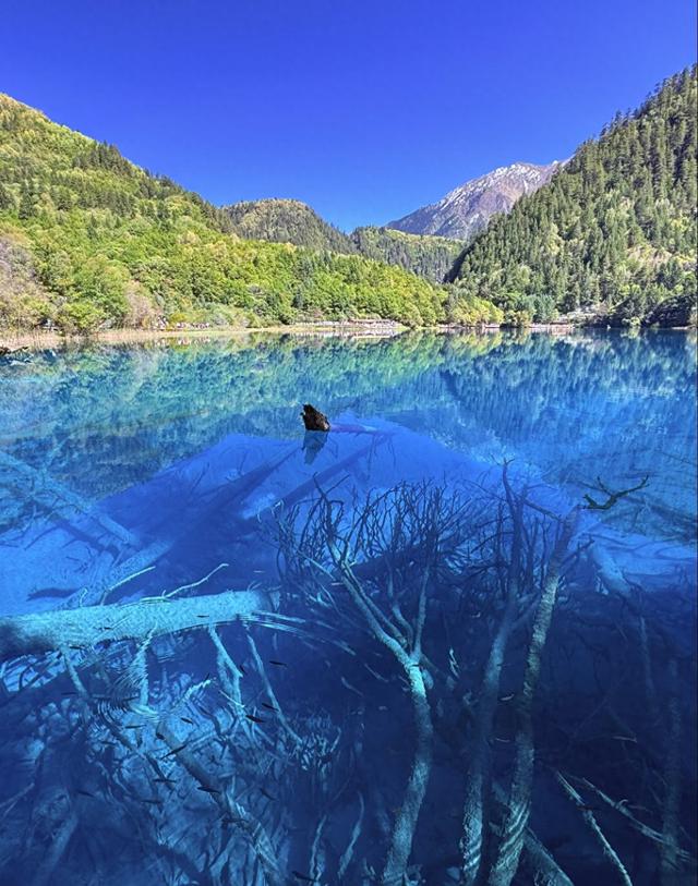 豆包测评出国内最值得去的十大景点，安徽黄山居榜首三峡无缘上榜