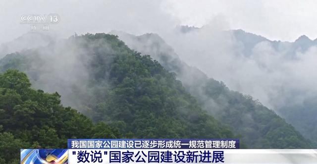 生命摇篮、绿色肺叶……万米高空看“大美国家公园”有啥亮点