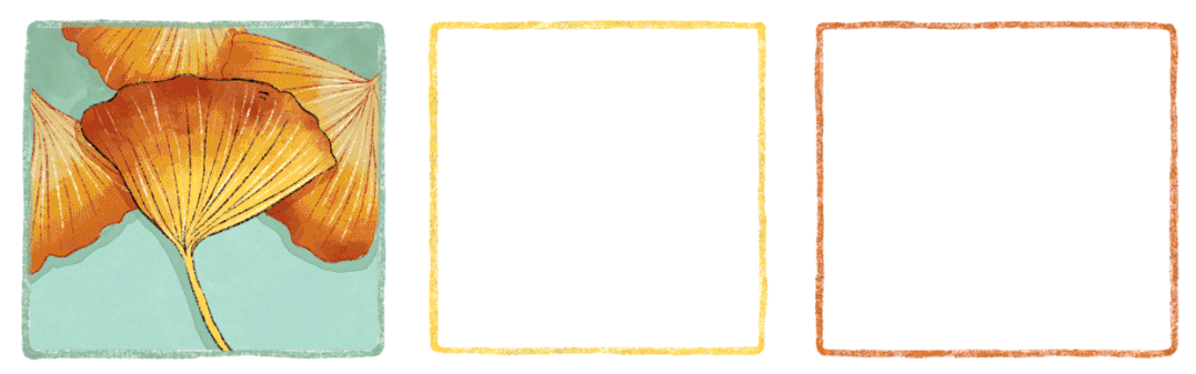 实拍！实拍！金堂这里的千年银杏超美