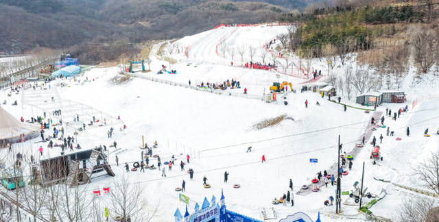 大连东沟冰雪嘉年华启幕！金普冬季旅游IP再添新活力