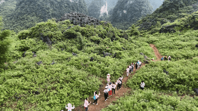 怀集桥头这条古道，火了！