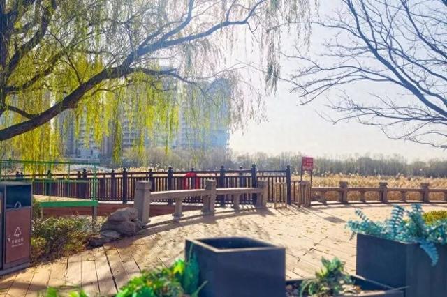 淄川这个公园“变身”完成！快来打卡！
