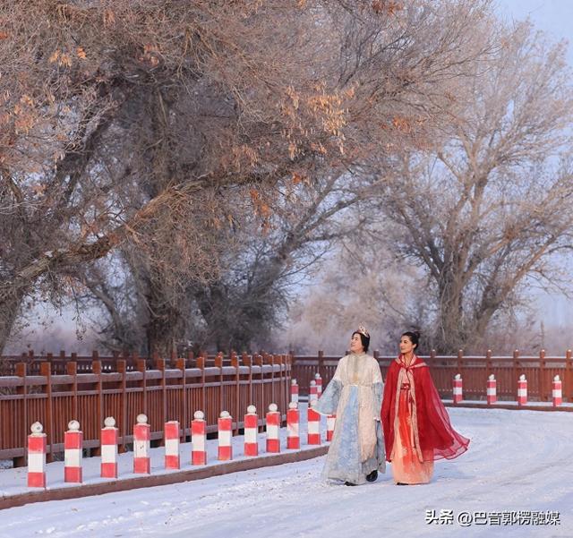轮台胡杨林雾凇美出圈！这个冬天等你来打卡