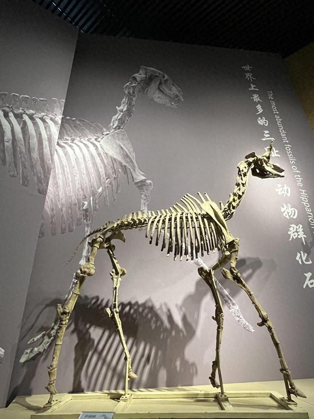 “黄河远上”第一站：临夏也可以“出售绿水青山”