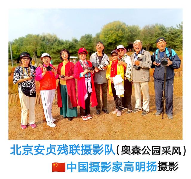 奥森公园粉黛乱子草，给你留下粉红的回忆！