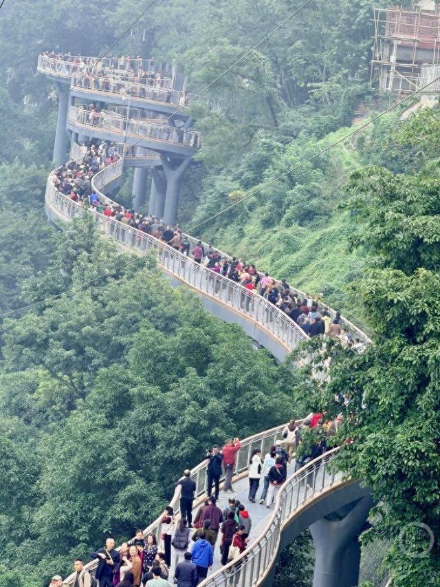 火出圈！设计师揭秘鹅岭栈桥背后的故事