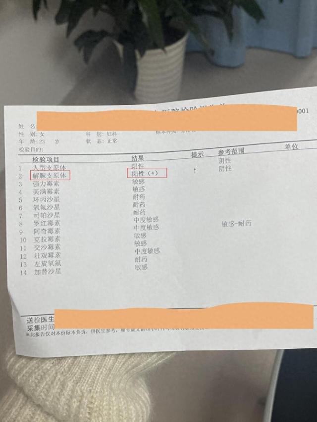 女性支原体感染是怎么引起的（问医生洁身自好）