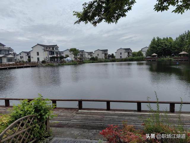 这个新村美得不像话！离上海只有一小时车程，去了还想去！