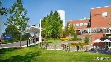 哈佛医学院丑闻：道德底线在利益面前崩塌