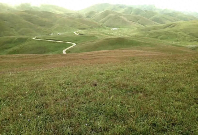 奇妙的草山之行丨李学标