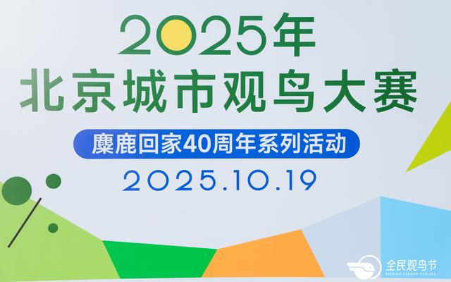 2025全民观鸟节启动：希望用30年推动观鸟人口占总人口1%