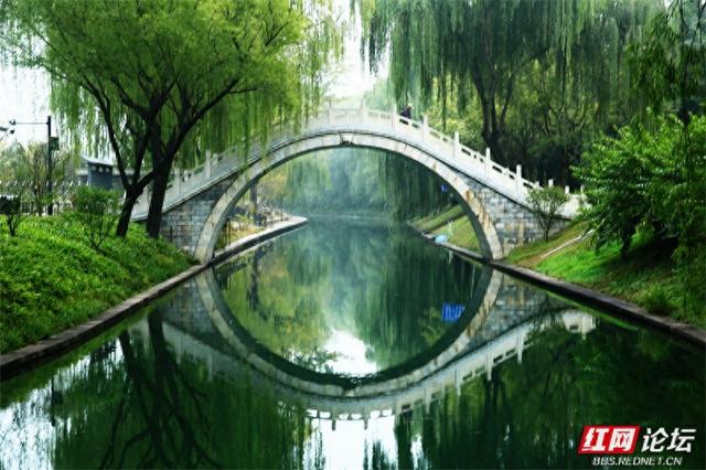 我眷恋的南方山水，原来都藏在了紫竹院的秋光里