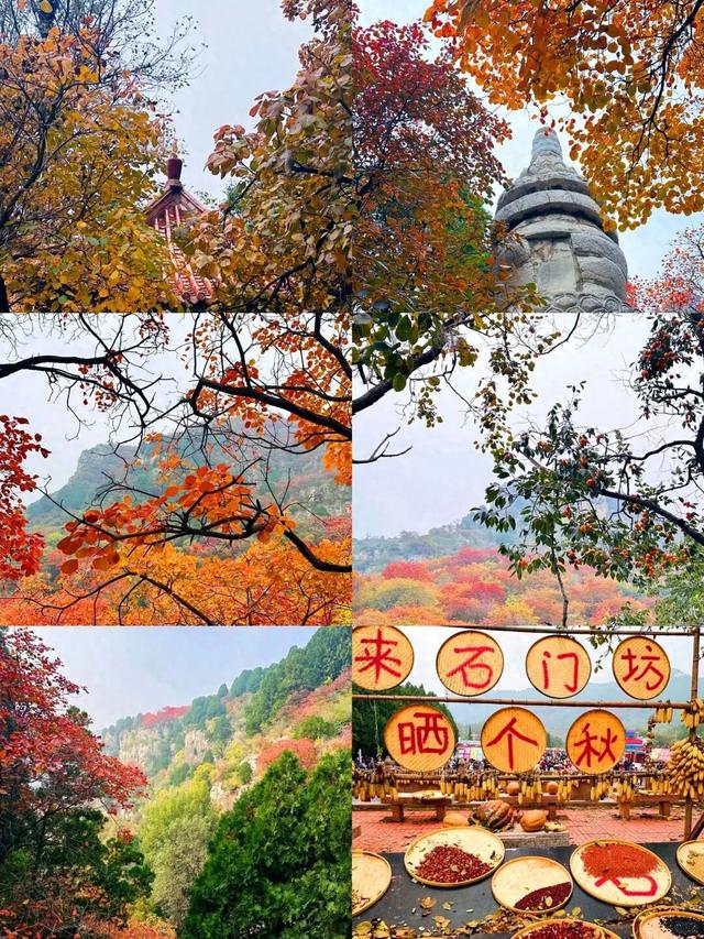 最新实拍！潍坊这里迎来“全红时刻”！