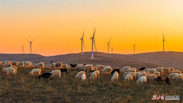 晚霞勾勒环县毛井镇“绿电+美景”生态画卷