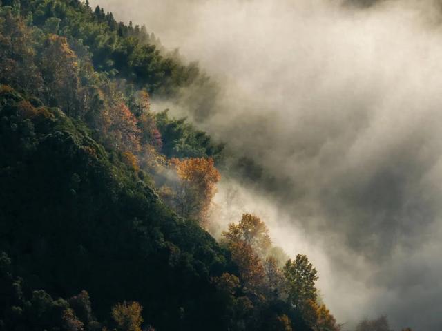 救命！柳溪江的秋天美到犯规！乘船闯入彩色童话！