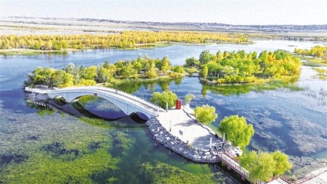 金塔金鼎湖：胡杨伴湖绘盛景